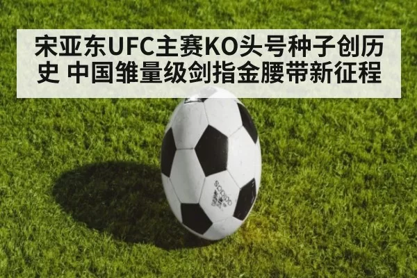 宋亚东UFC主赛KO头号种子创历史 中国雏量级剑指金腰带新征程
