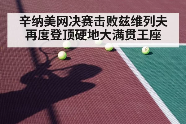 tennis player hard court match