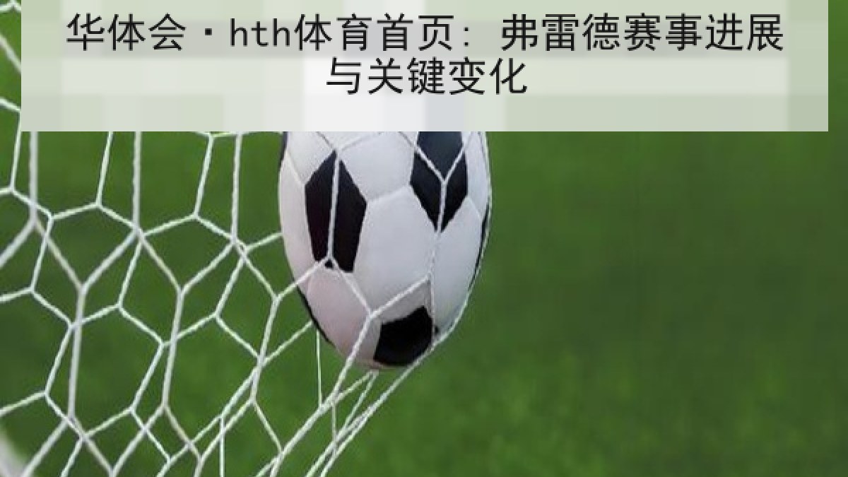 华体会·hth体育首页: 弗雷德赛事进展与关键变化